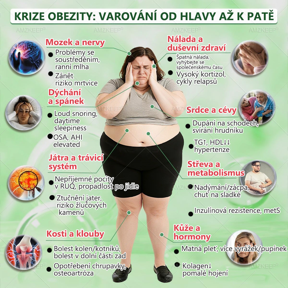 🎁 Zbývají už jen 5 krabic! Nabízíme vám dodatečnou slevu 50%! Zkráťte se a buďte zdraví. Koupte si to hned, nebude vám další šance až do příštího roku.